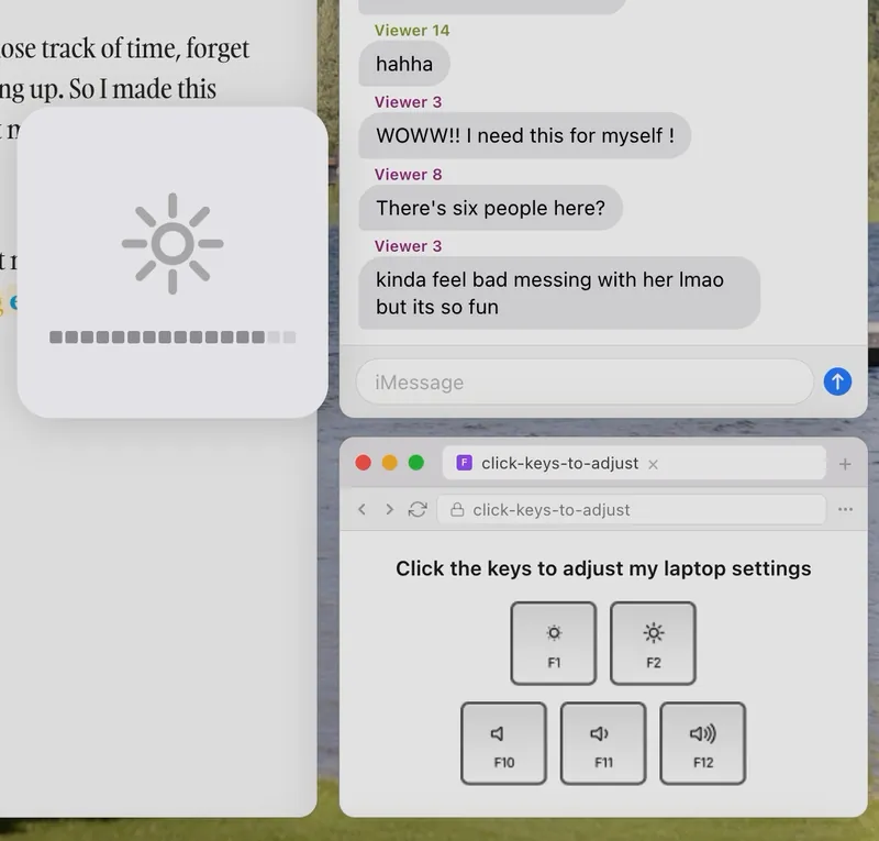 Close-up of the site: the macOS brightness overlay over the page, next to the group chat and the function keys window